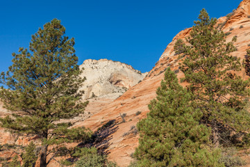 Fototapeta na wymiar Scenic Zion National Park Landscape