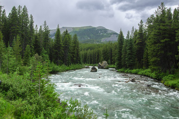Maligne River, Jasper National Park, Alberta, Canada