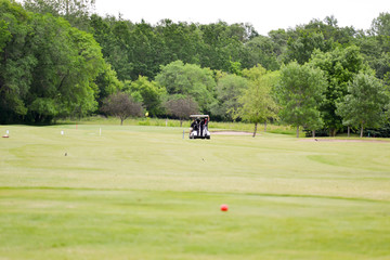 Golf Cart in Fairway