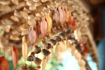 garland from cockleshells