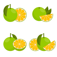 Icon Grapefruit white.  Vector illustration.