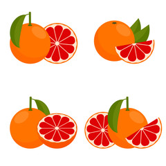 Icon Grapefruit. Vector illustration.