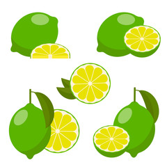 icon set lime, vector.
