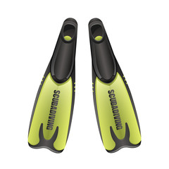 vector scuba diving flippers isolated on white.