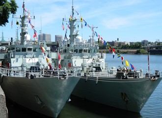 Fleet Week: U.S. Navy ships docked in port being toured © RaWi