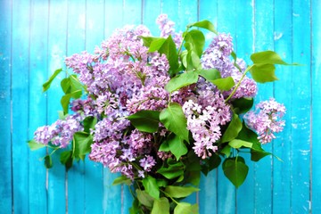 Beautiful lilac on a blue wooden background