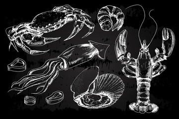 Seafood hand drawn collection
