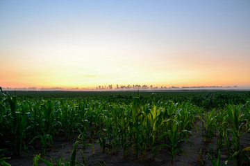 Farm Field Sunrise 2