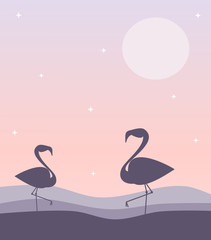 flamingos silhouette on sunset background