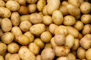 Foto op Plexiglas Small White Potatoes at a Farmers Market © bryanpollard