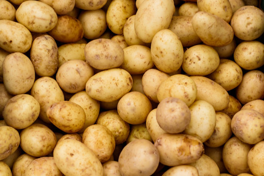 Small White Potatoes at a Farmers Market