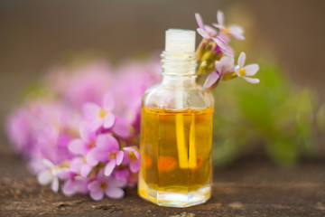 Essential oil of Arabis flower on a table in beautiful bottle