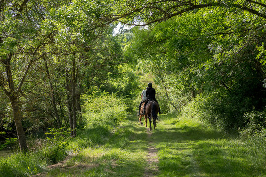 deux personnes de dos font de l'équitation sur un chemin verdoyant en pleine campagne le long d'une rivière