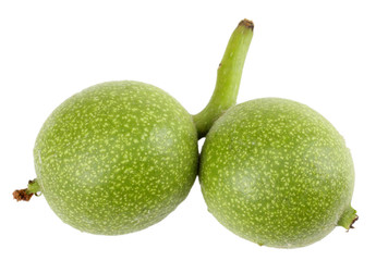 Green walnuts isolated on a white background