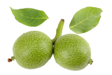 Green walnuts with leaves isolated on a white background