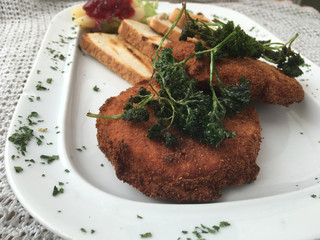 organisch, lifestyle, foodie, werbetafel, urban, feeds, slice. camembert, traditionell, 