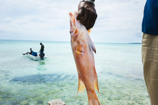 Man holding fish at seashore