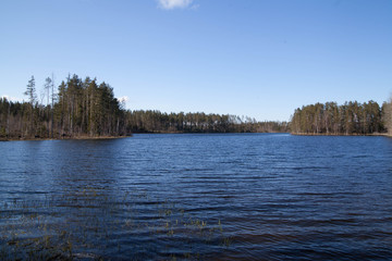  Lake in the spring