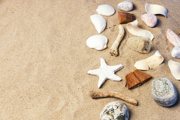 Fototapeta na wymiar Nice Seashells on beach