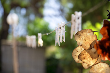 Tendedero de ropa  el campo
