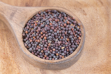 Black Mustard Seeds - Brassica nigra
