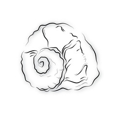 Sea shell of the sketch