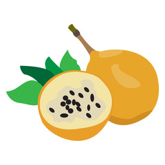 Isolated pair of passion fruits on a white background, Vector illustration