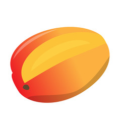 Isolated mango on a white background, Vector illustration