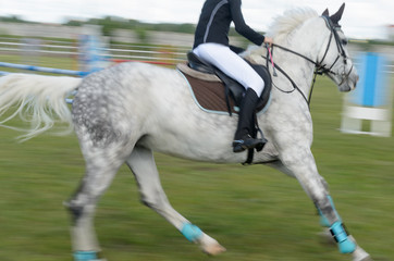 Competitions in equestrian sport with overcoming obstacles.