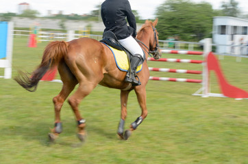 Competitions in equestrian sport with overcoming obstacles.