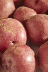 fresh, raw, baby potatoes