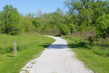 The path in the park on a sunny spring day.