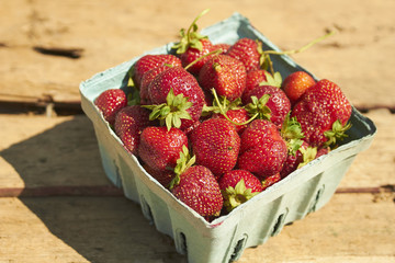 a quart of freshly picked strawberries out in the sunshine