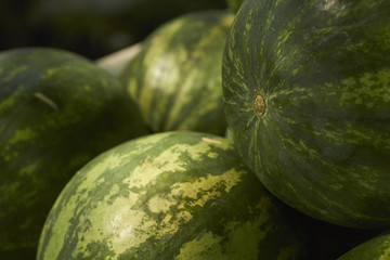 watermelons at a Lancaster Pennsylvania farm stand