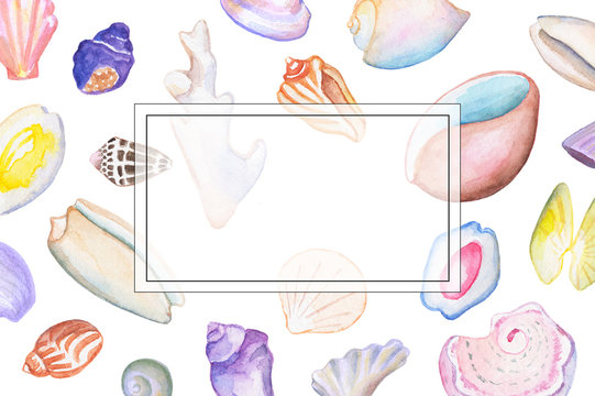 Seashell watercolor illustration with text place. Hand-drawn tropical sea shells ornament.