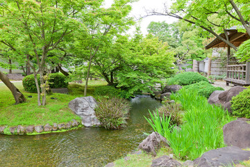 Fototapeta na wymiar Kokoen Garden near Himeji castle, Japan