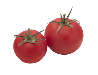 tomato isolated on white background