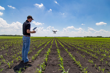 Agronomist Using a Tablet in an Agricultural Field