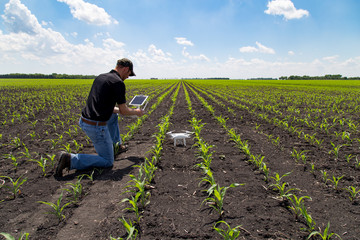Agronomist Using a Tablet in an Agricultural Field