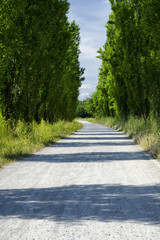 Grugnotorto park, landscape in the springtime