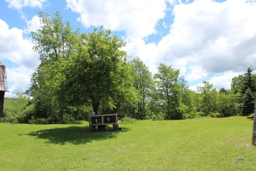 Naklejka premium farmlife