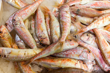 Sea fish on market stalls