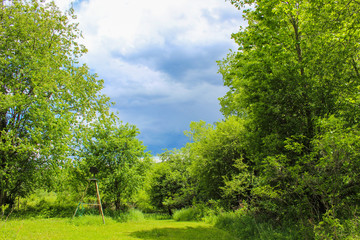Obraz premium landscape