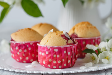 muffins on a wooden board and lilac paper with a branch of the blossoming plum