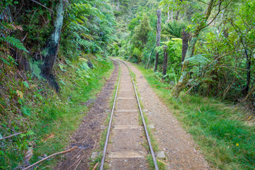 Rusting remains of rails where extraction was trasnported, surrounding of plants growing through it. Victoria gold battery Waikino, New Zealand