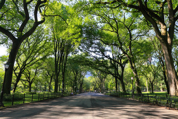 セントラルパーク　夏