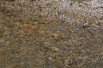 Pebble Beach