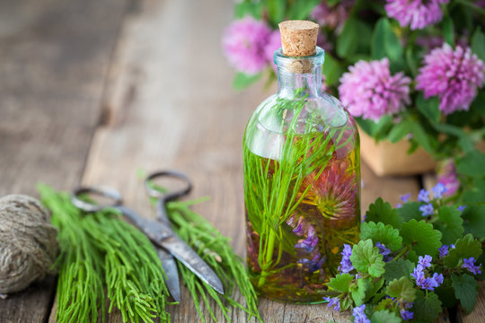 Bottles of tincture or infusion of healthy herbs, scissors, healing herbs on wooden board. Herbal medicine concept.