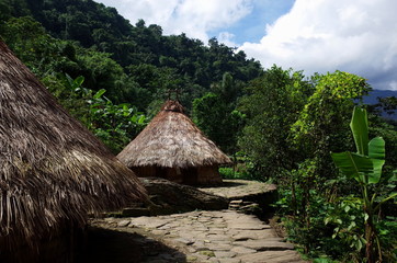 Fototapeta na wymiar Indigenous houses at Ciudad Perdida (Lost City) in Colombia
