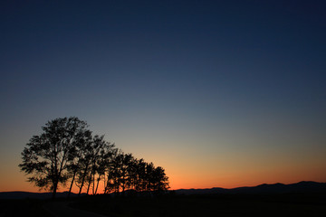 マイルドセブンの丘　夕景